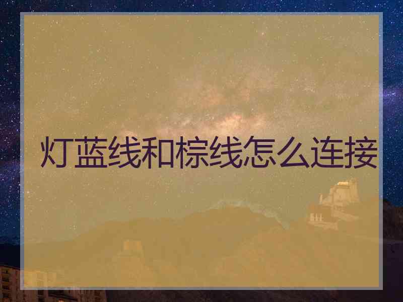 灯蓝线和棕线怎么连接