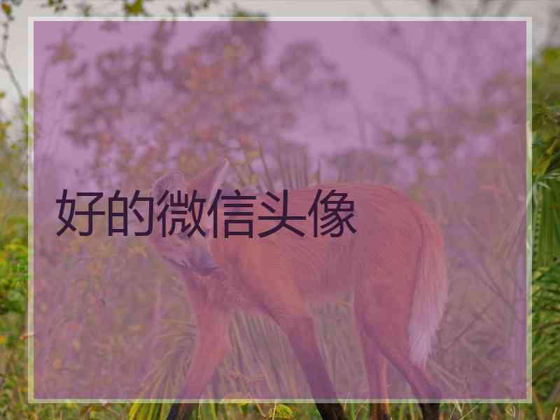 好的微信头像