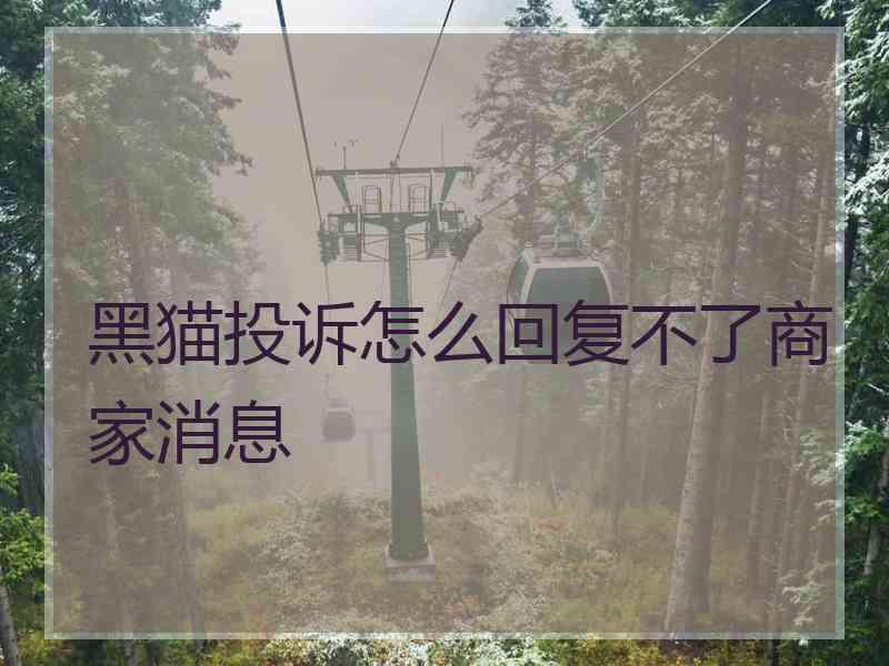 黑猫投诉怎么回复不了商家消息