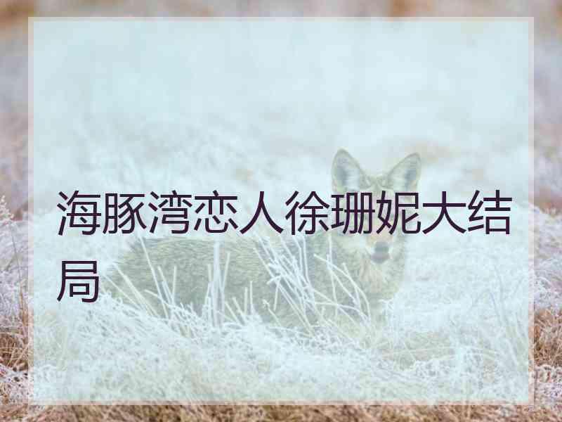 海豚湾恋人徐珊妮大结局