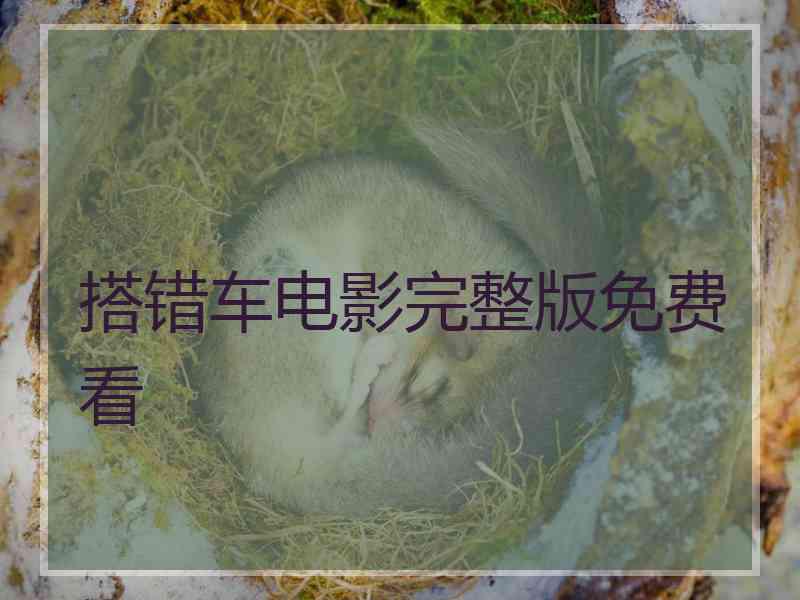 搭错车电影完整版免费看
