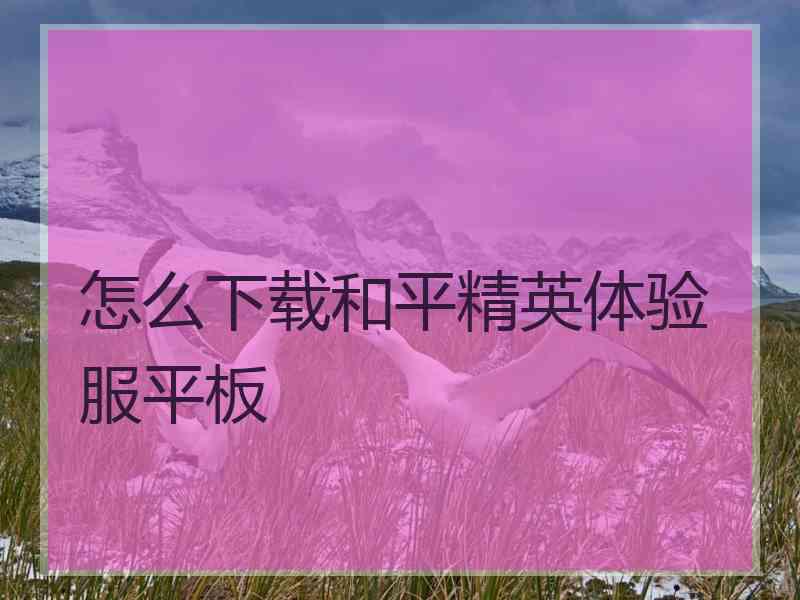 怎么下载和平精英体验服平板
