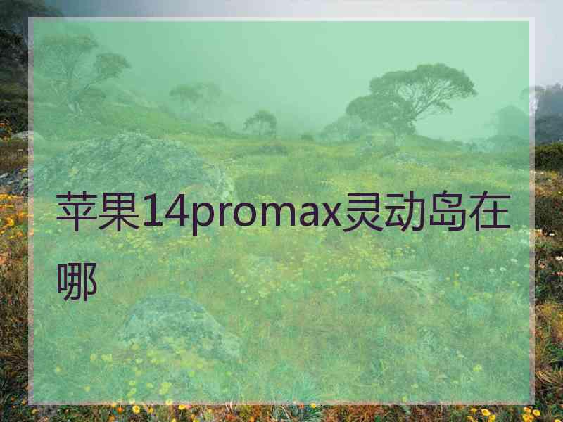 苹果14promax灵动岛在哪