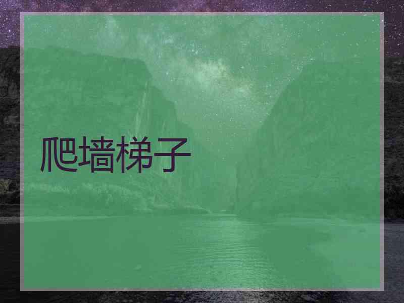 爬墙梯子
