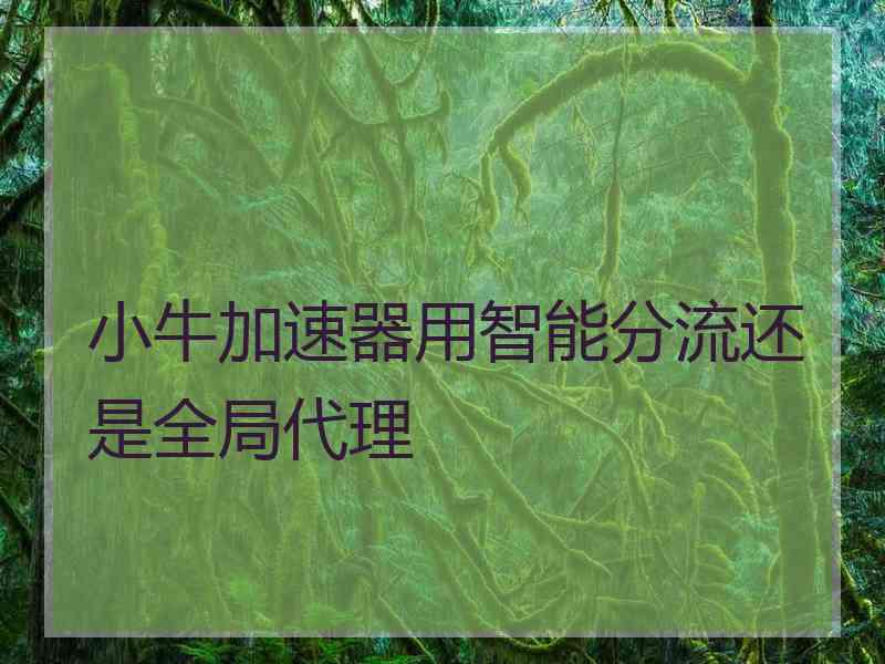 小牛加速器用智能分流还是全局代理