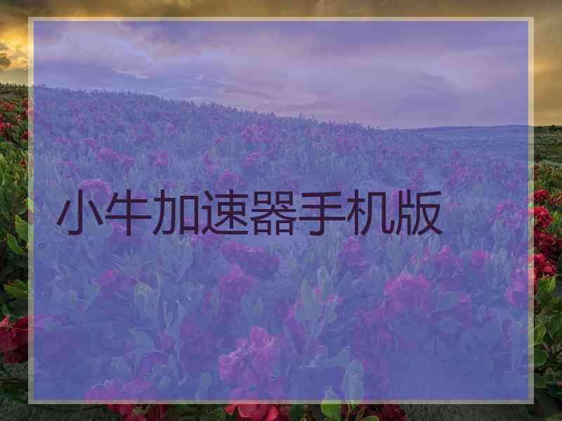 小牛加速器手机版