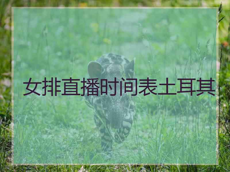 女排直播时间表土耳其