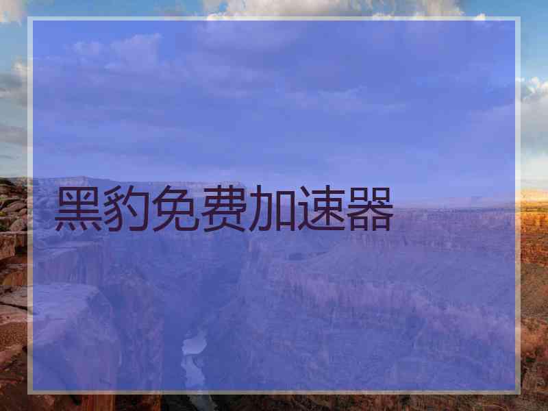 黑豹免费加速器