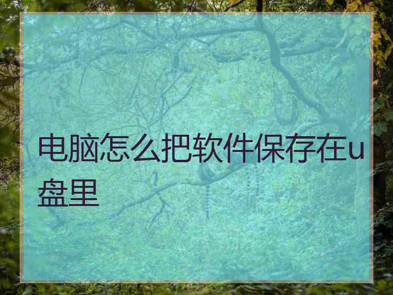电脑怎么把软件保存在u盘里