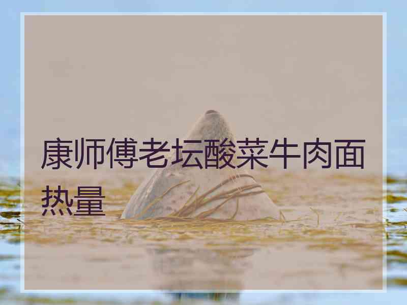 康师傅老坛酸菜牛肉面热量