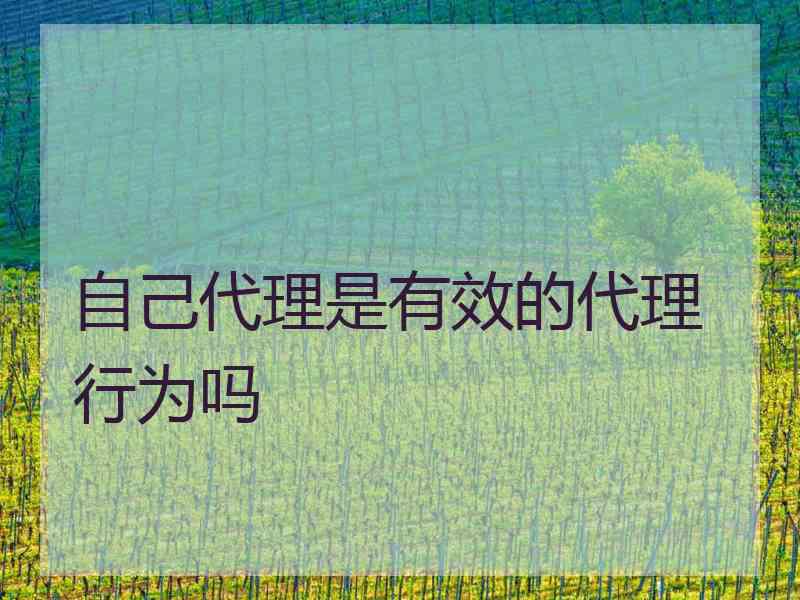 自己代理是有效的代理行为吗