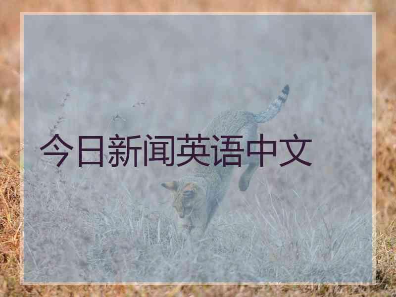 今日新闻英语中文