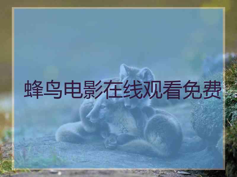 蜂鸟电影在线观看免费