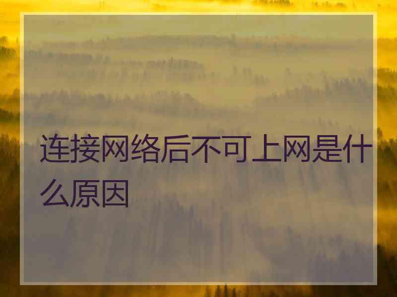 连接网络后不可上网是什么原因