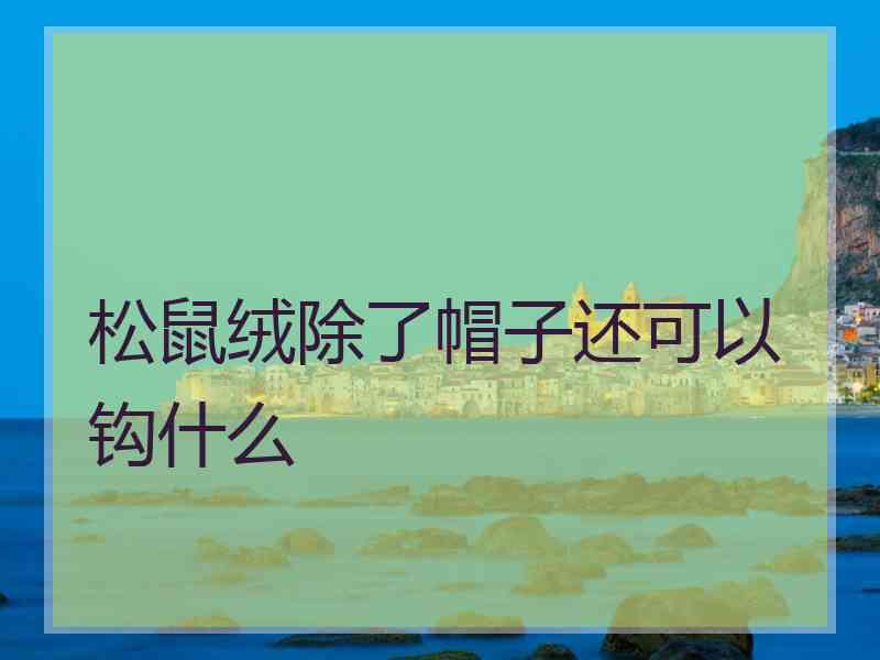 松鼠绒除了帽子还可以钩什么
