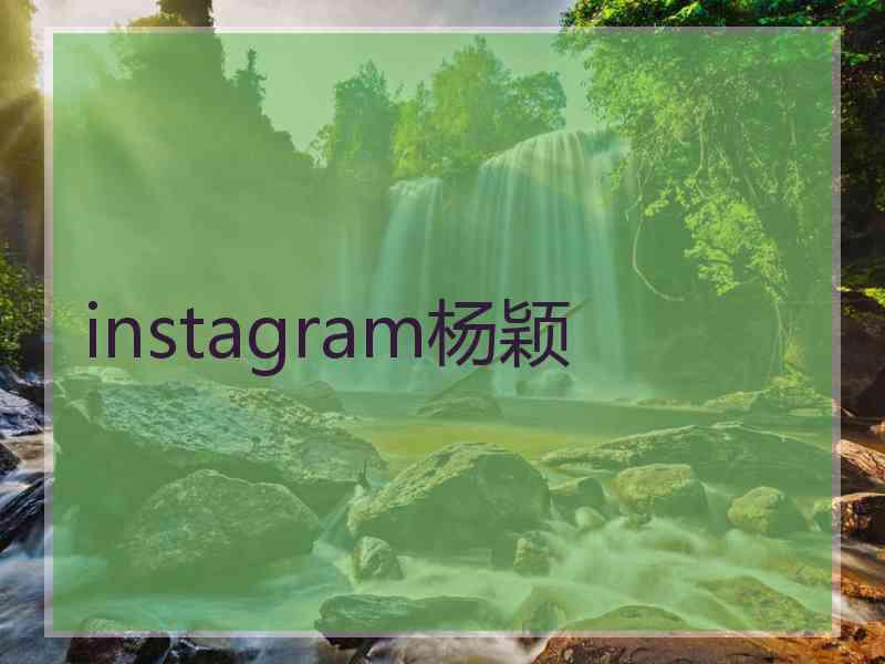instagram杨颖