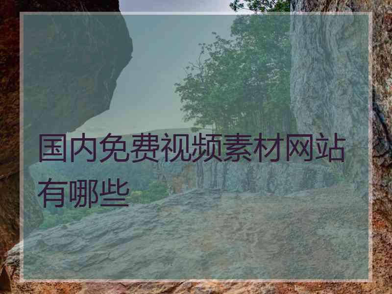 国内免费视频素材网站有哪些