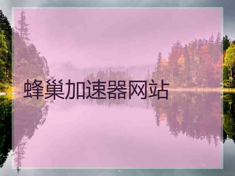 蜂巢加速器网站