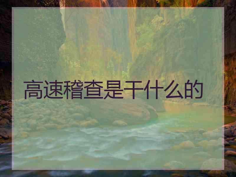 高速稽查是干什么的