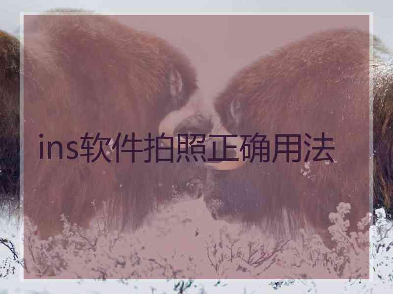 ins软件拍照正确用法