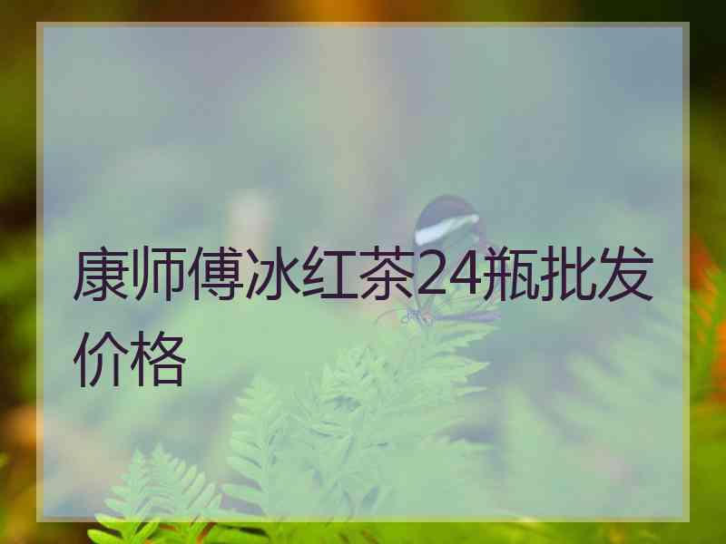 康师傅冰红茶24瓶批发价格