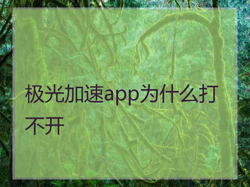 极光加速app为什么打不开
