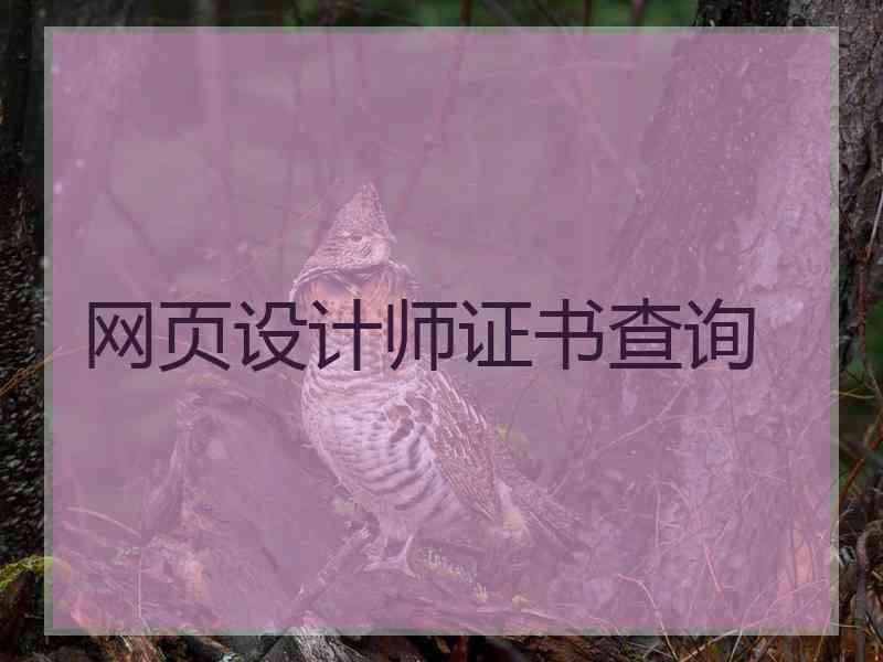 网页设计师证书查询