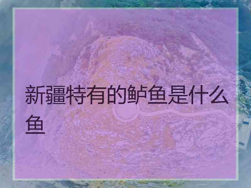 新疆特有的鲈鱼是什么鱼