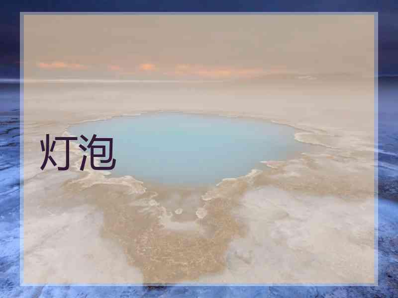 灯泡