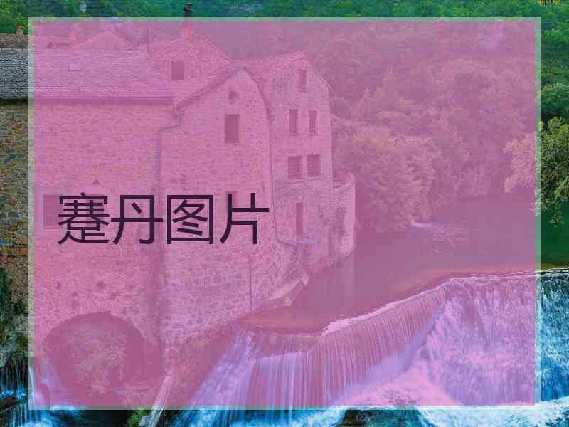 蹇丹图片