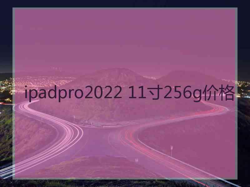ipadpro2022 11寸256g价格
