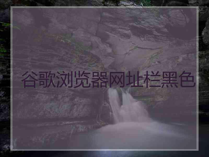 谷歌浏览器网址栏黑色