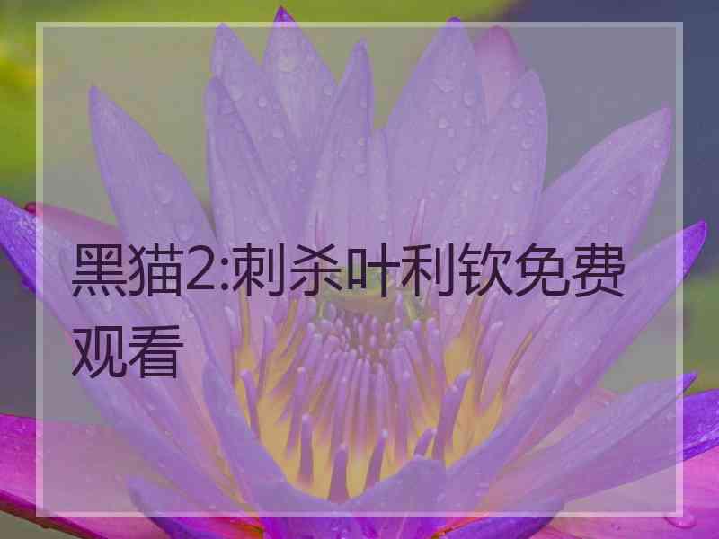 黑猫2:刺杀叶利钦免费观看
