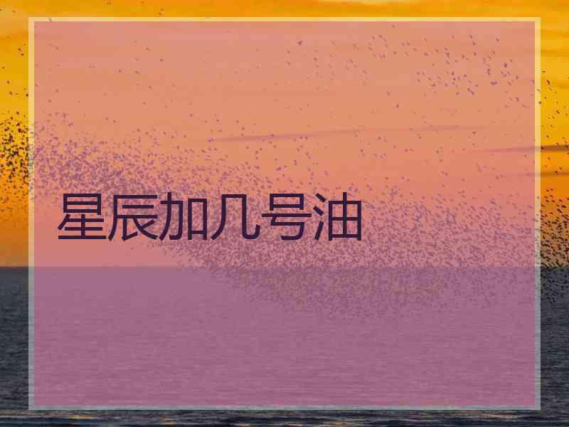 星辰加几号油
