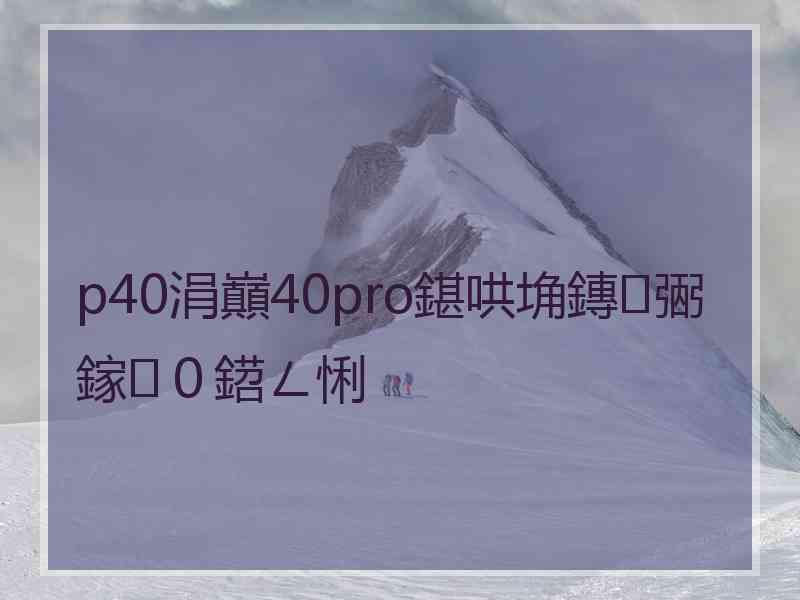 p40涓巔40pro鍖哄埆鏄弻鎵０鍣ㄥ悧
