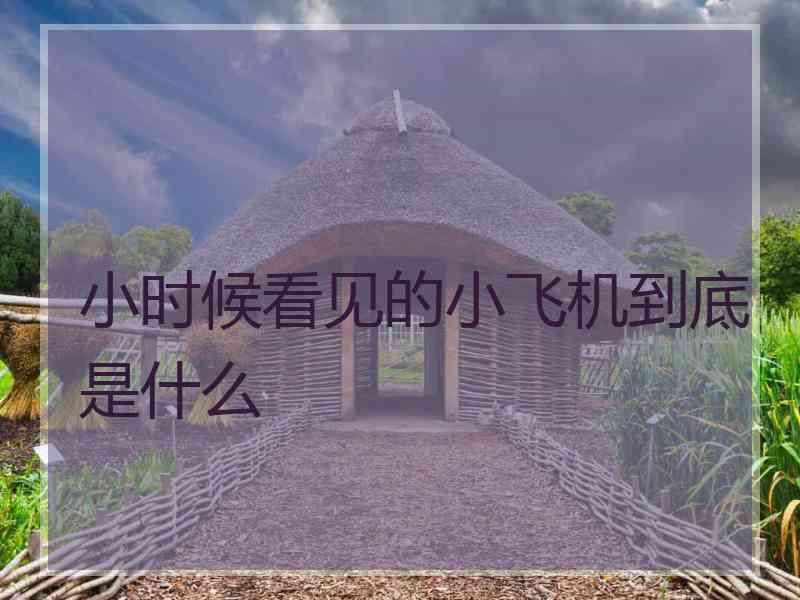 小时候看见的小飞机到底是什么