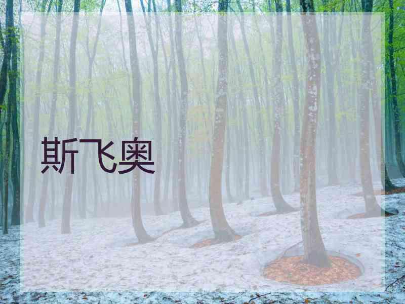 斯飞奥