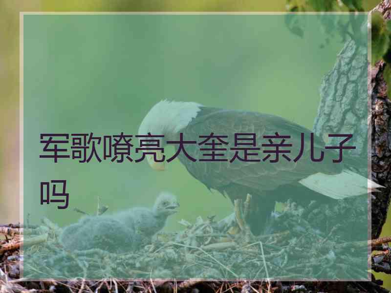 军歌嘹亮大奎是亲儿子吗