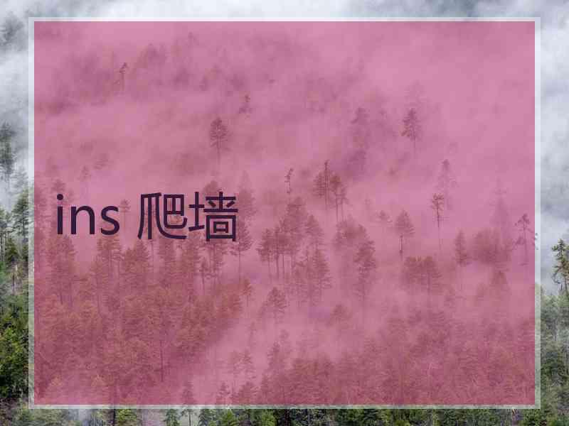 ins 爬墙