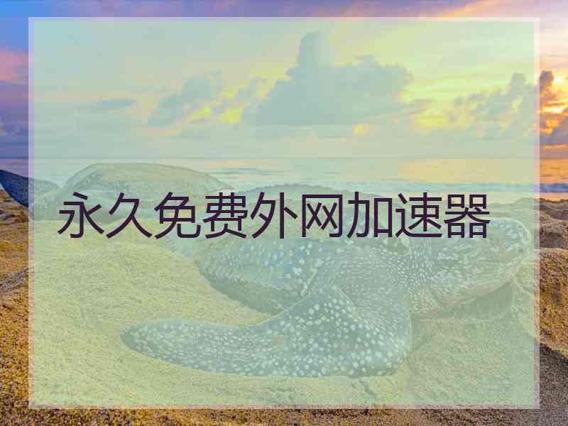 永久免费外网加速器