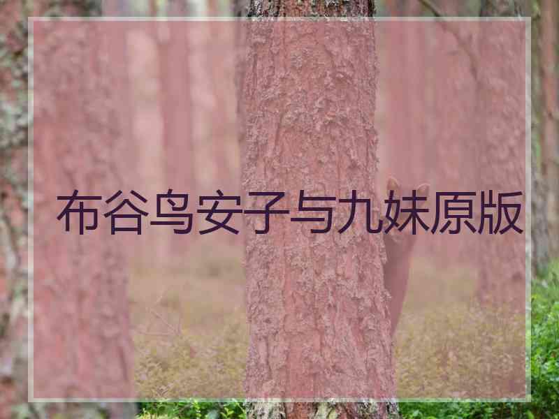 布谷鸟安子与九妹原版