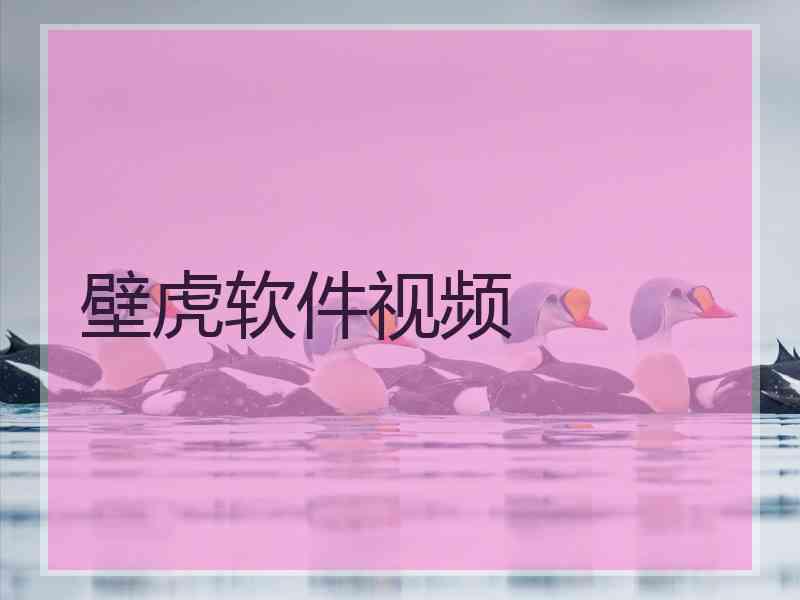 壁虎软件视频