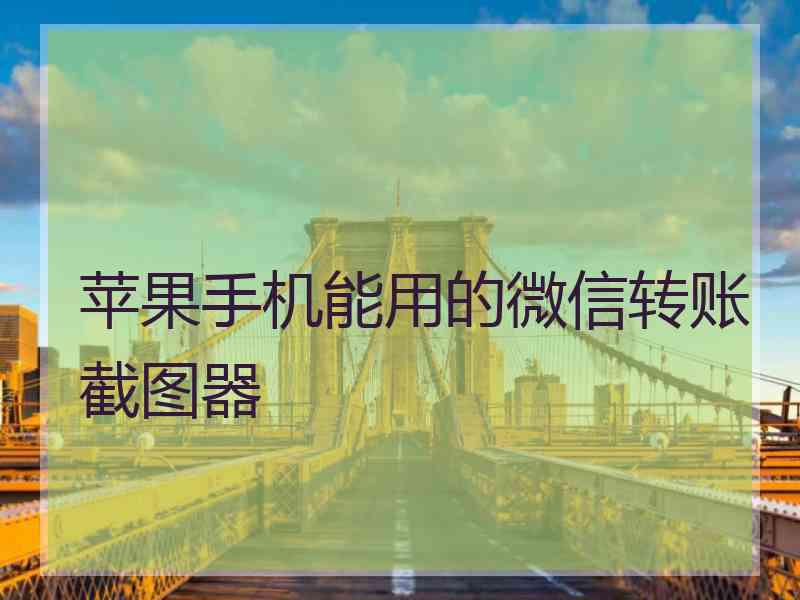 苹果手机能用的微信转账截图器