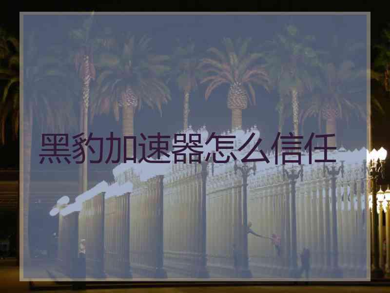 黑豹加速器怎么信任