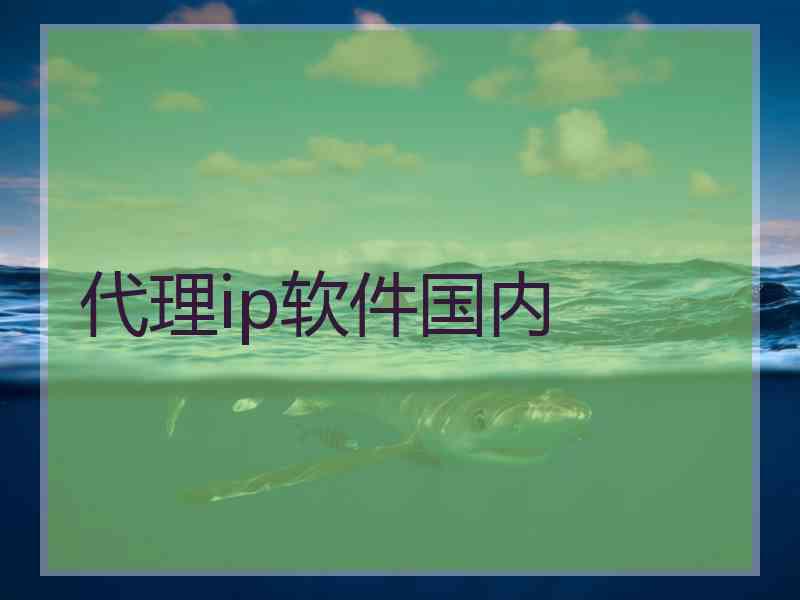 代理ip软件国内