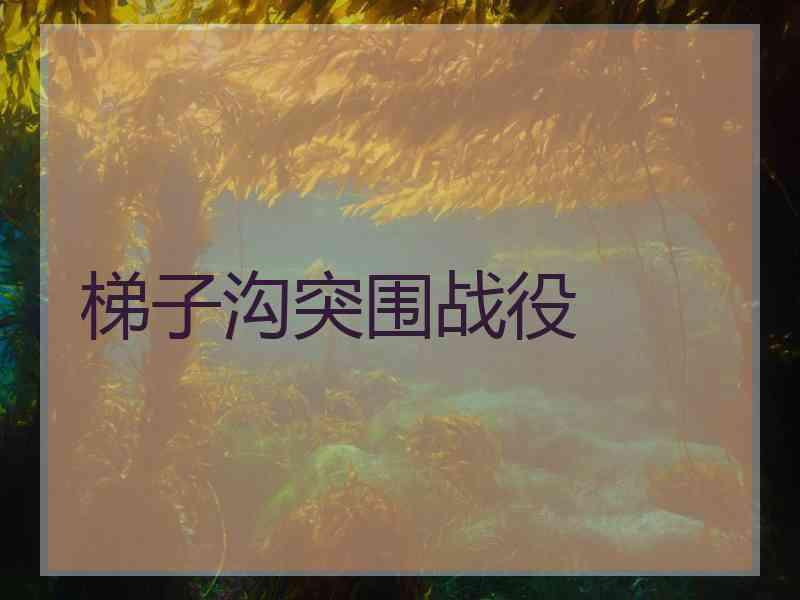梯子沟突围战役