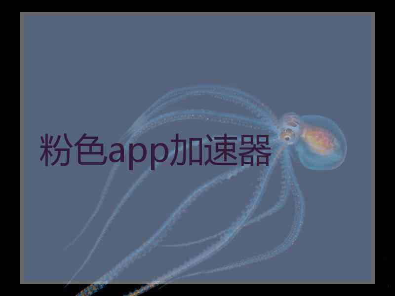 粉色app加速器
