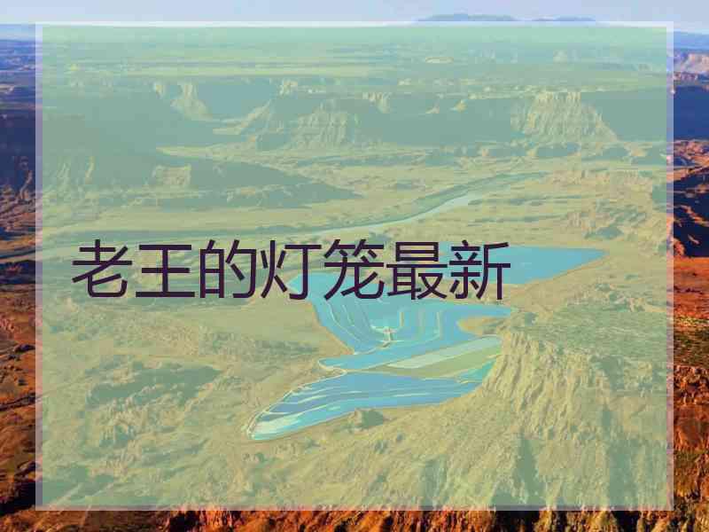老王的灯笼最新