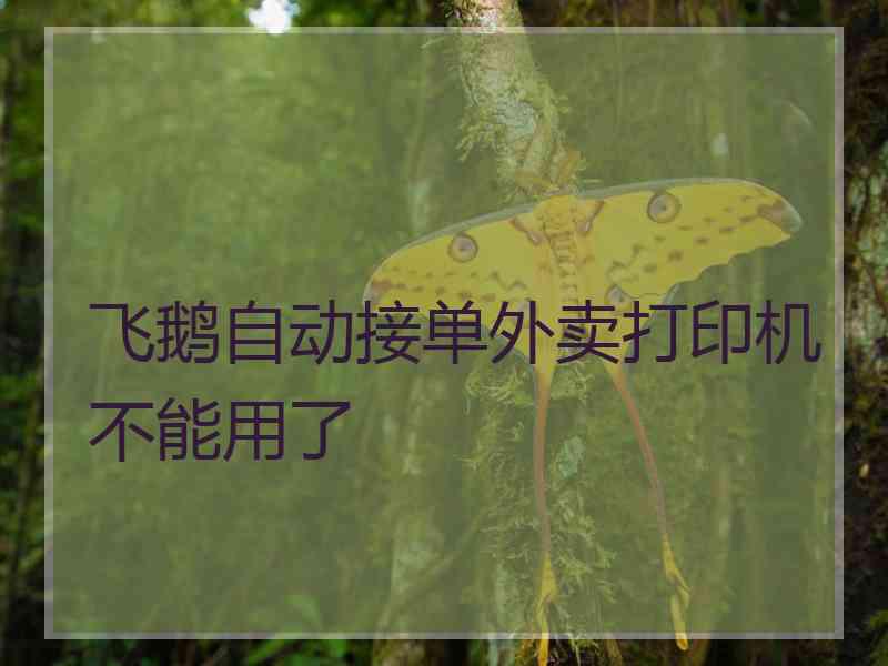飞鹅自动接单外卖打印机不能用了