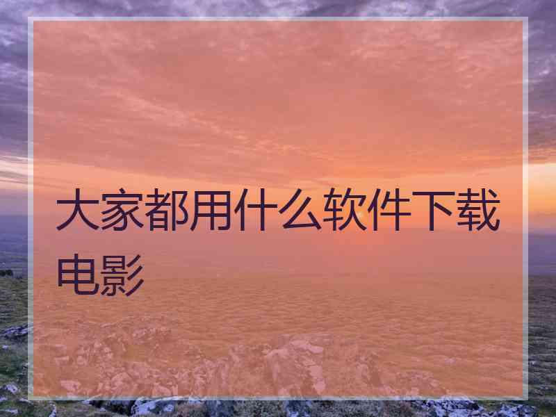 大家都用什么软件下载电影